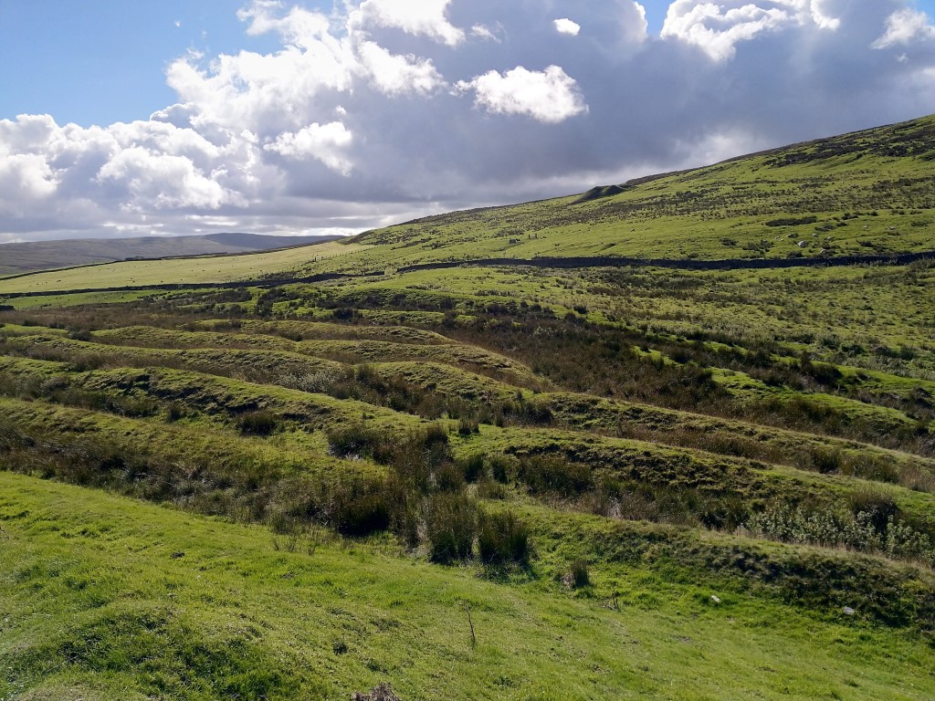 img_20180924_14325128medium29